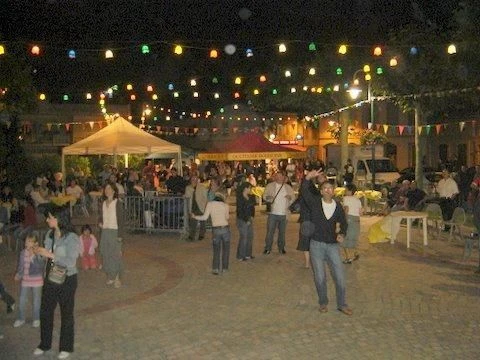 Album - Fête locale