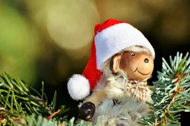Album - Fete-de-noel-2012