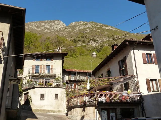 Album - Fete-locale-2012