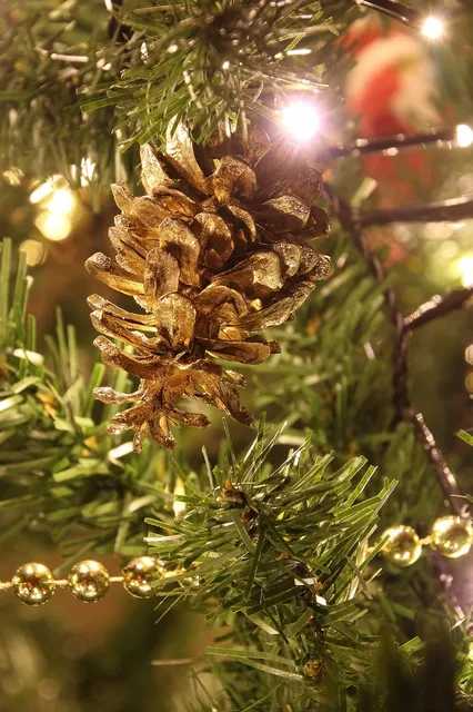 Album - Fete-de-noel-2012