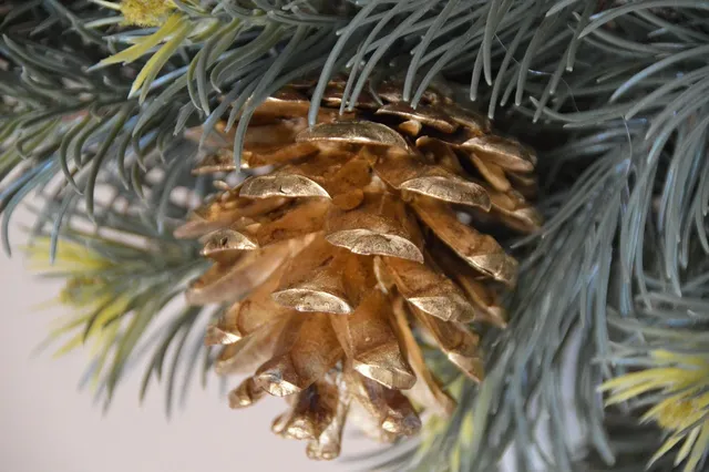 Fête de noël  le 6 décembre!!!