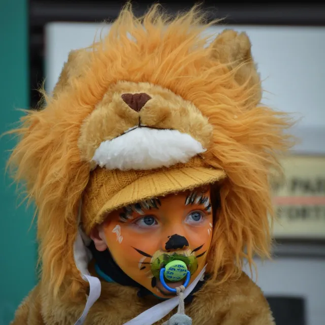 Album - Carnaval-2012