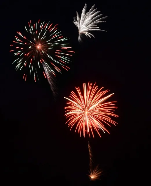 Album - Fete-locale-2012