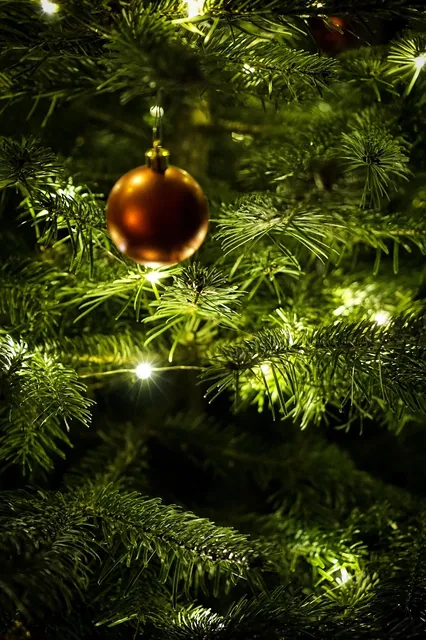 Album - Fête de Noël