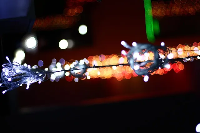 Album - Fete-locale-2012